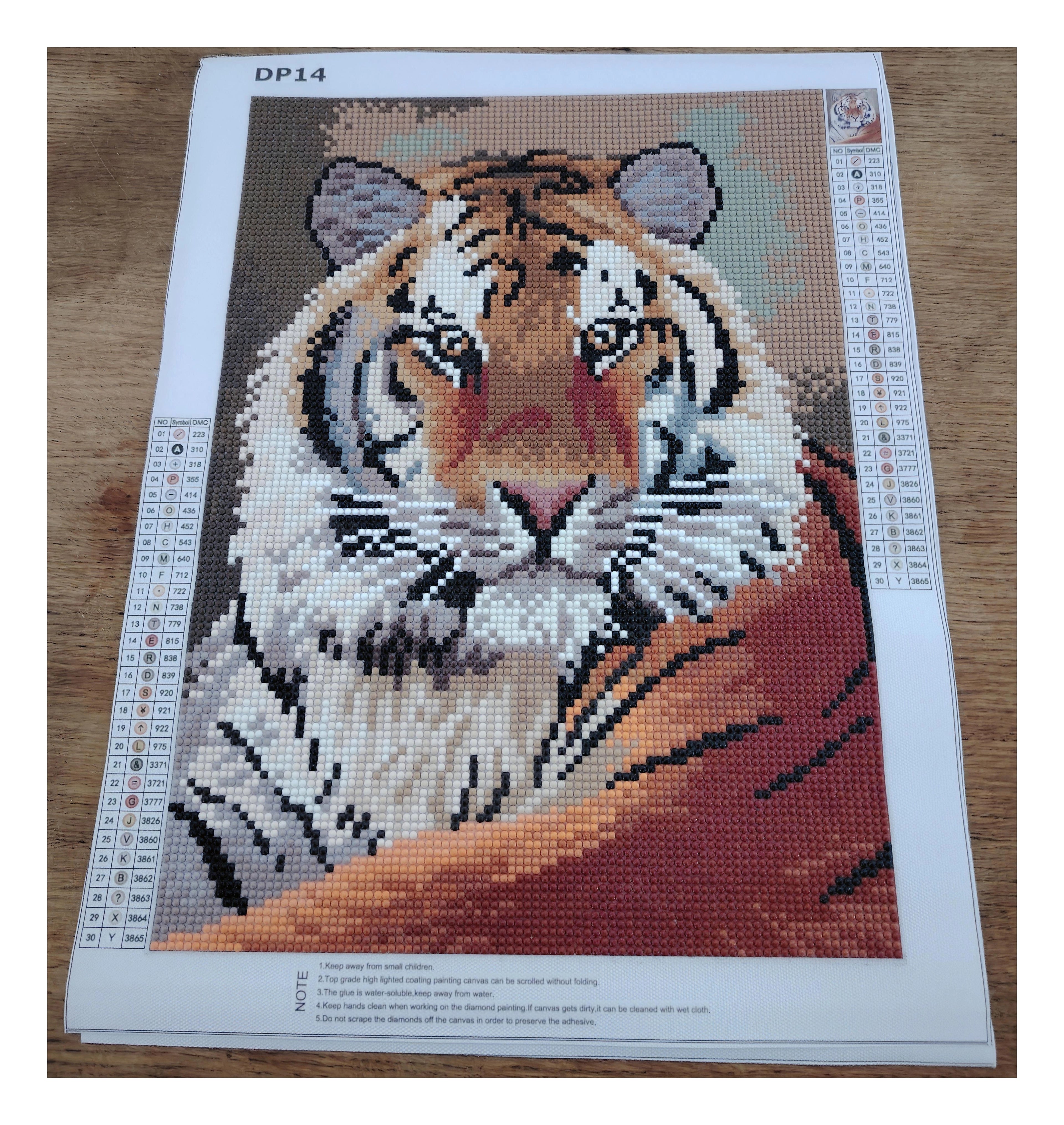 TIGRE