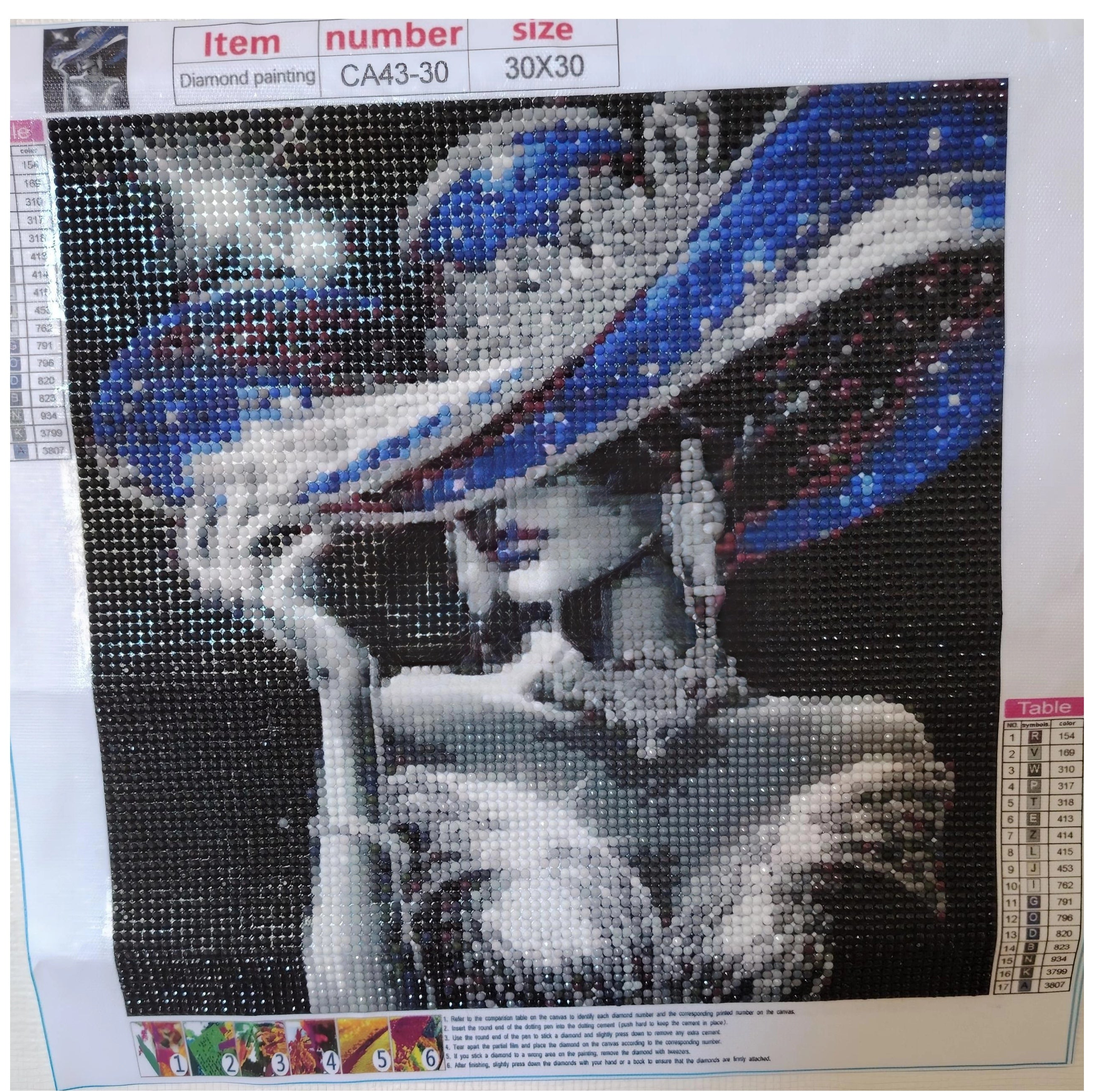 LA DAME AU CHAPEAU BLEU