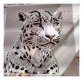 LEOPARD PERSAN