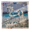 CHEVAL EN TRANSPARENCE