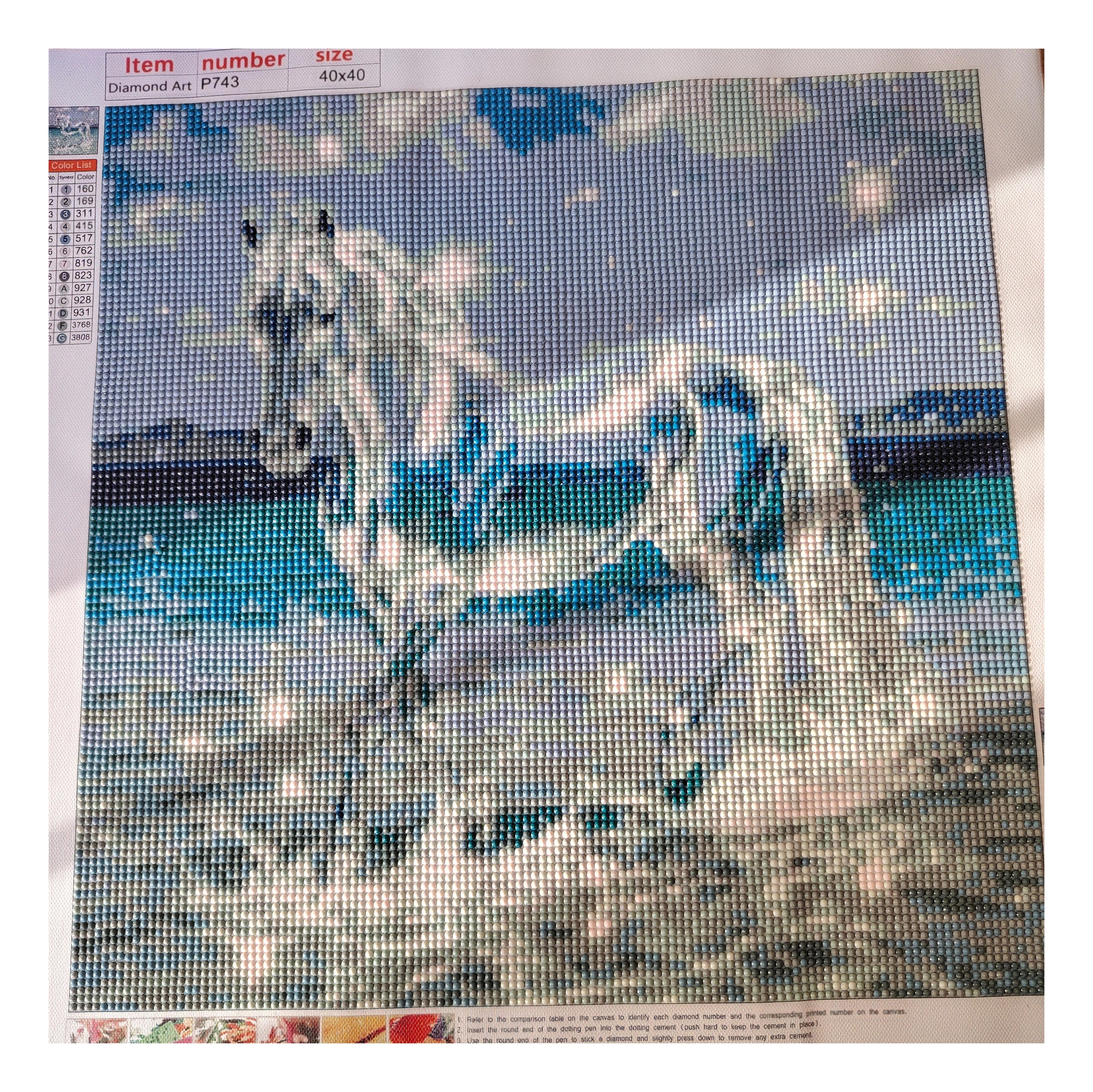 CHEVAL EN TRANSPARENCE