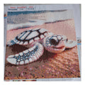 PETITE TORTUE BLANCHE